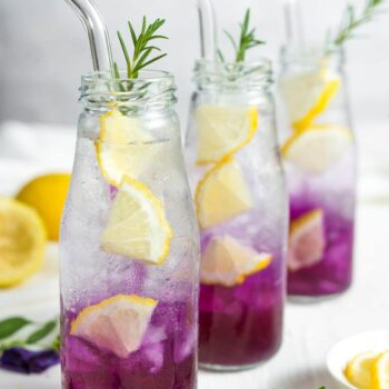 Butterfly Pea Flower Lemonade