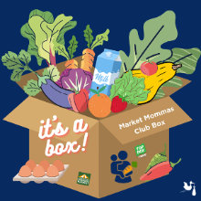 market-momma-box-illo-220x220.jpg