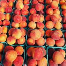 durham-produce-peaches-220x220.jpg